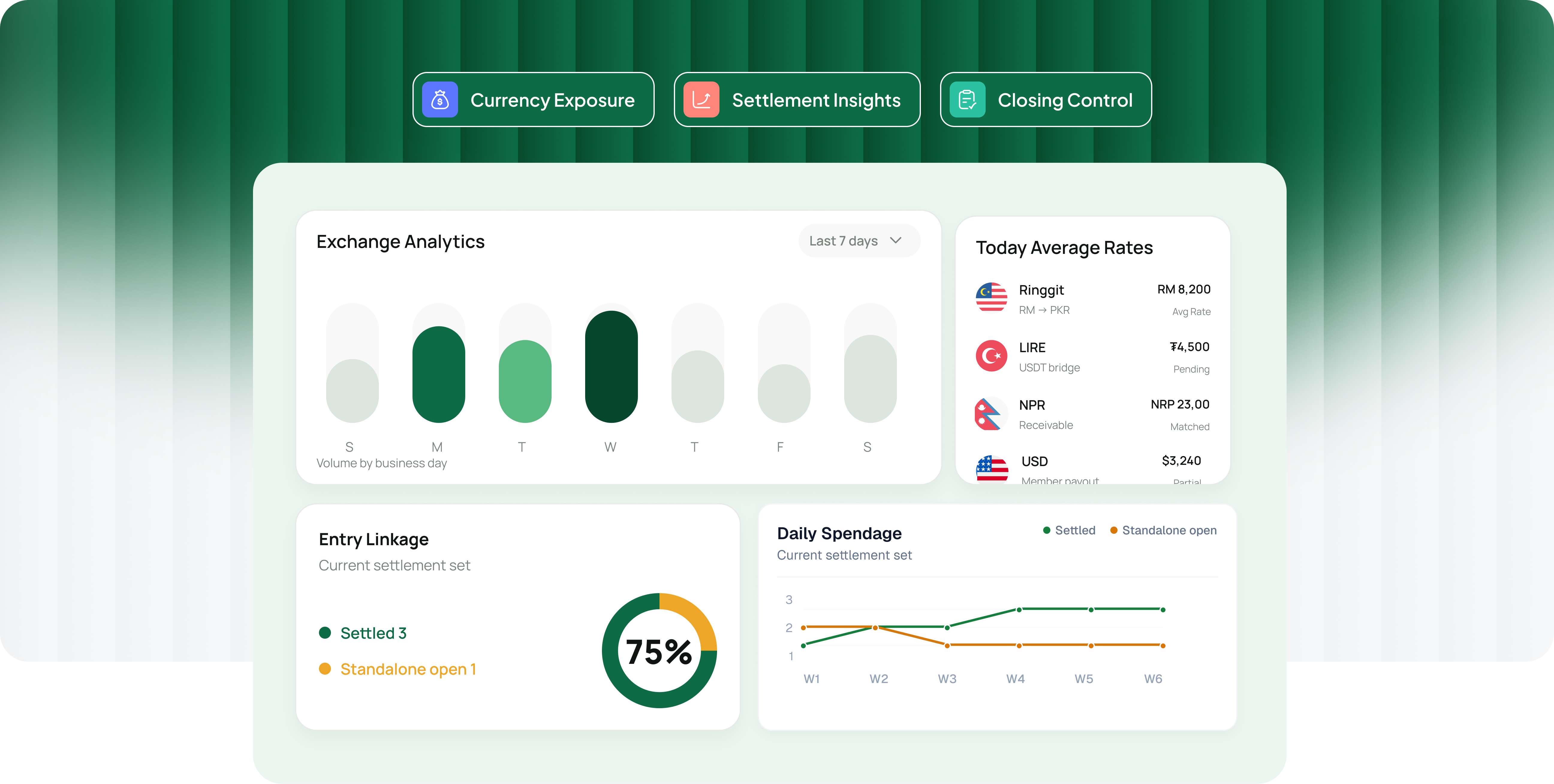 EMS platform preview: currency exposure, settlement insights and closing control with exchange analytics, average rates, entry linkage and daily spendage